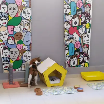 Kara Kedi Oteli fotoğrafı
