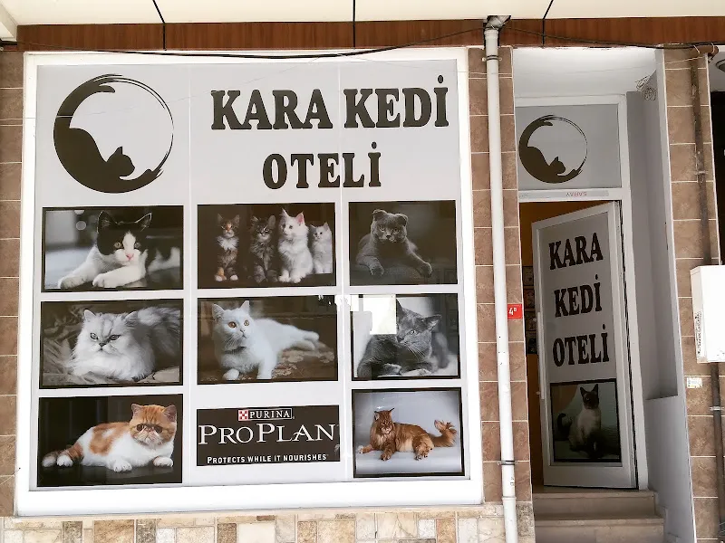 Kara Kedi Oteli foto 2