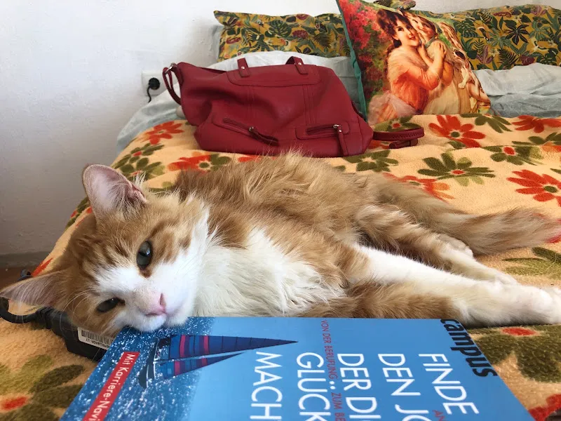 Şell-Vet Veteriner Kliniği foto 2