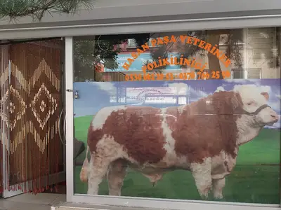 Hasan Paşa Veteriner Kliniği