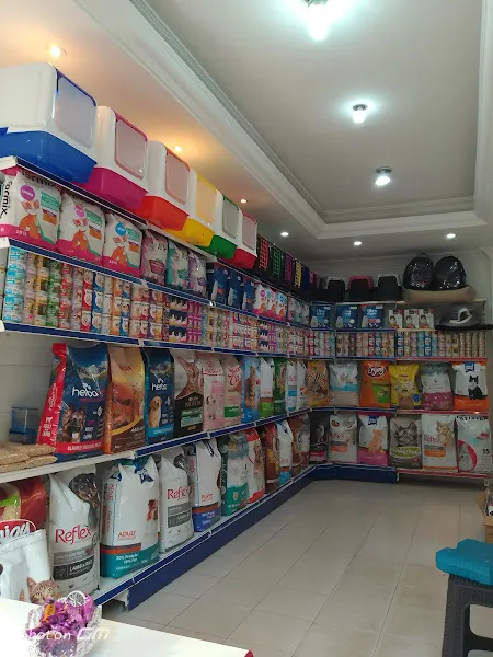 Yalçın Akvaryum & Pet Shop foto 2