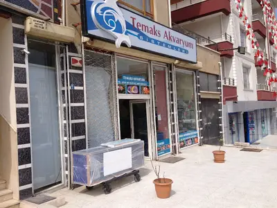 Temaks Akvaryum Sistemleri | Akvaryum İmalatı