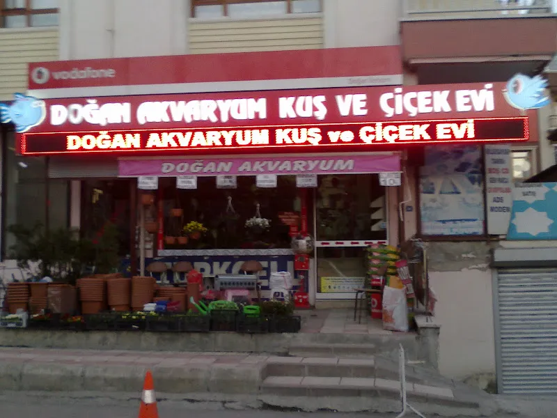 Doğan Akvaryum Kuş ve Çiçek evi foto 1