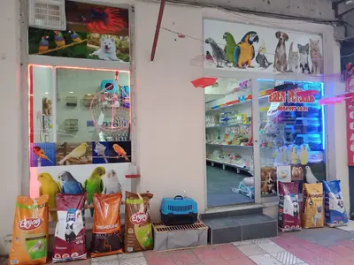 manisa eren petshop