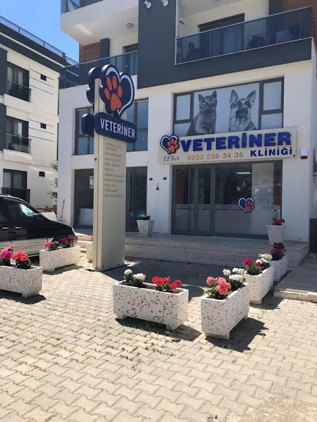 EFRA VETERİNER KLİNİĞİ foto 2