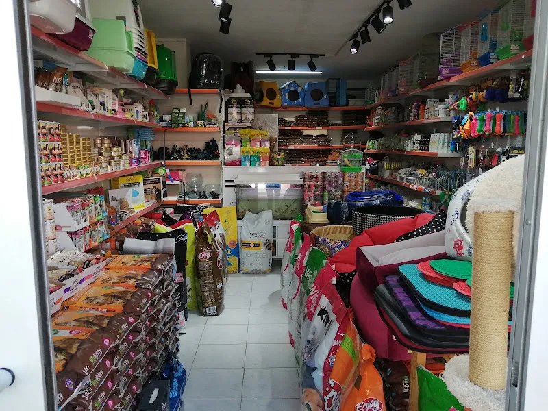 Paşa pet shop foto 2