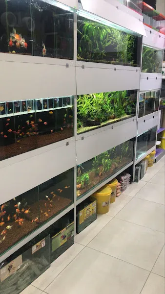 SEVİMLİ PATİLER PETSHOP foto 2