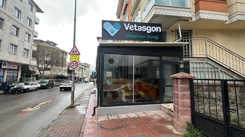 Vetasgon Kartal Veteriner Kliniği foto 2