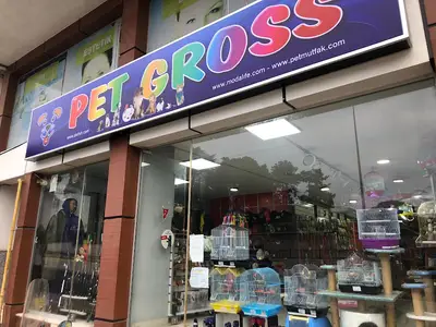 sinop pet gross
