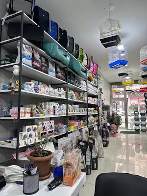 Mimi Pet Shop