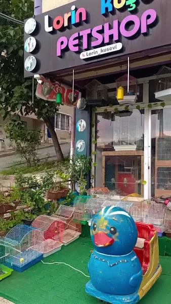 Lorin PETSHOP foto 1