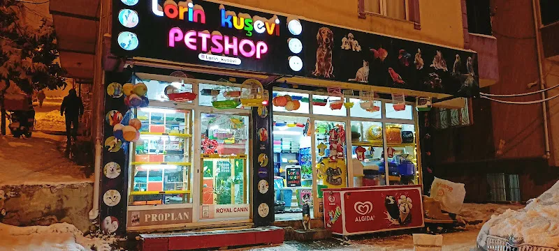 Lorin PETSHOP foto 2