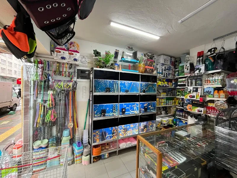 Meteler Petshop foto 2