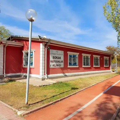 Etimesgut Belediyesi Sokak Hayvanları Kliniği fotoğrafı