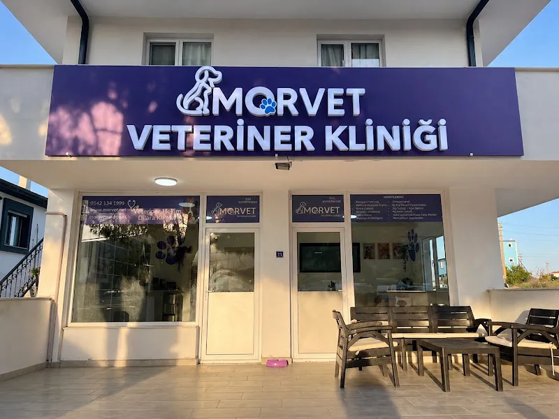 Mordoğan Morvet Veteriner Kliniği foto 1