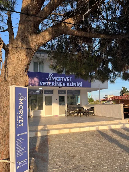 Mordoğan Morvet Veteriner Kliniği foto 2