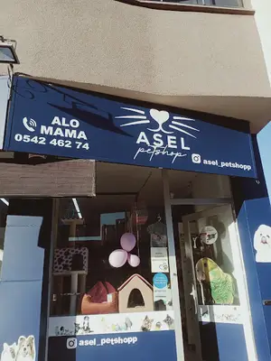 Asel Petshop