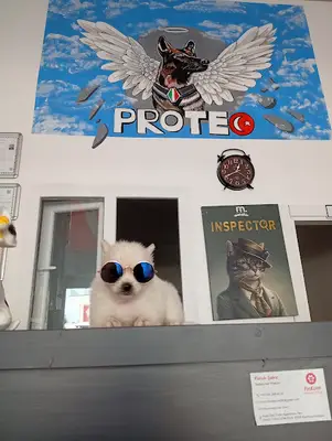 Finkum Veteriner Kliniği