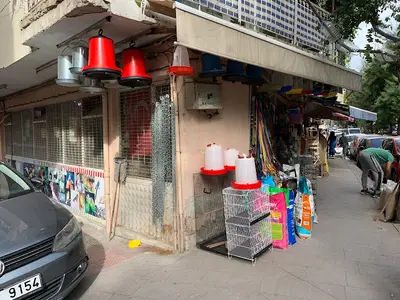 Mine Petshop