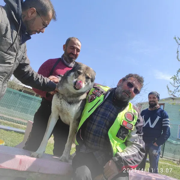 Gürcan Doğaner Köpek Eğitimi ve Pansiyonu foto 2
