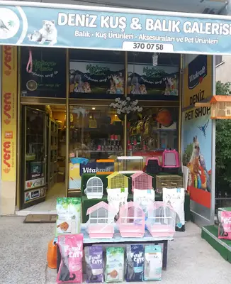 Deniz Kuş& Balık Galerisi