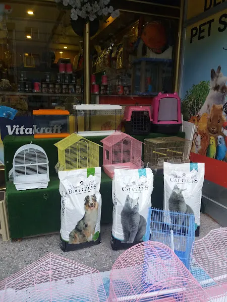 Deniz Kuş& Balık Galerisi foto 2