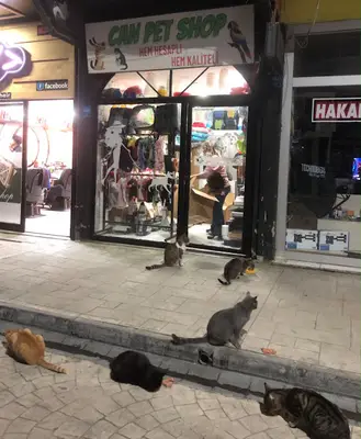Can Pet shop