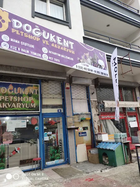 Doğukent Petshop & Akvaryum foto 1