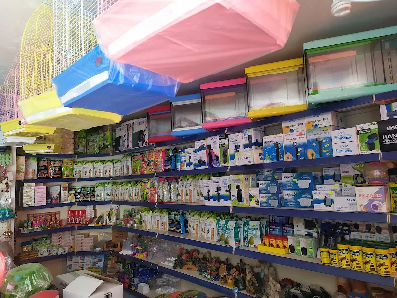 Doğukent Petshop & Akvaryum foto 2