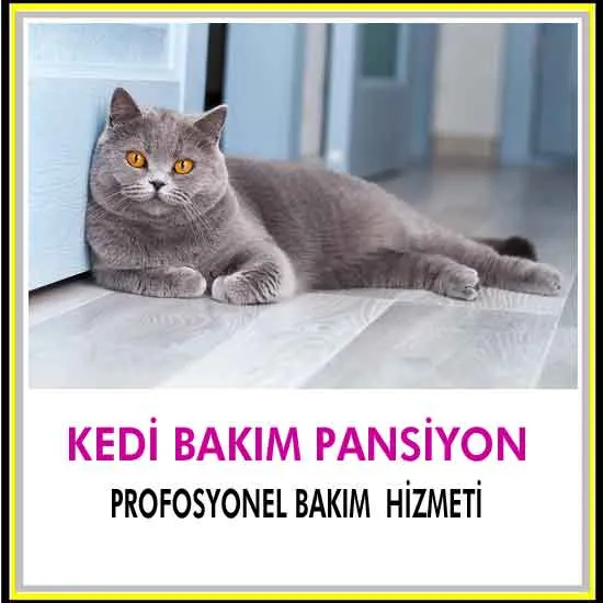 Unıversal Köpek Eğitim foto 2