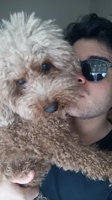 Littlepaws_k9