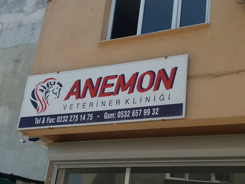 Anemon Veteriner Kliniği foto 1