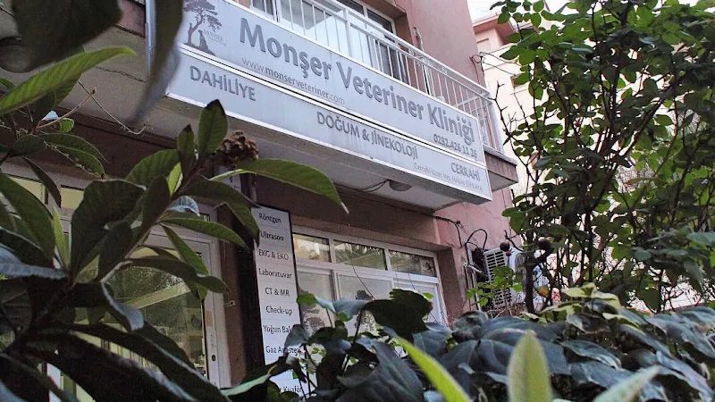 Anemon Veteriner Kliniği foto 2