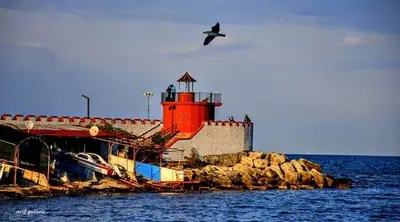 Fatsa balıkçı barınağı ve fener fotoğrafı