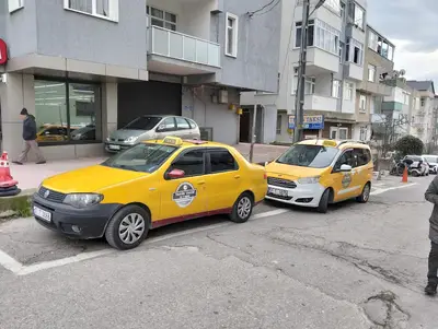 Sinop gelincik tekin taksi