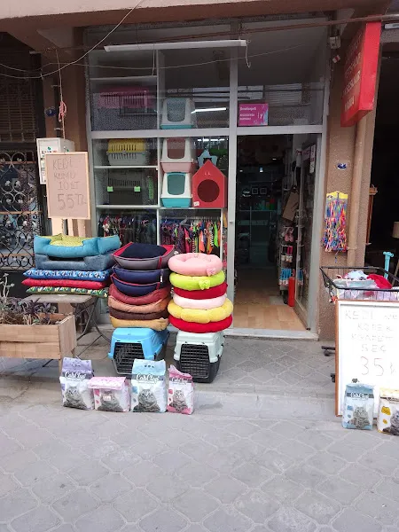 Zümrüt Pet Shop foto 1