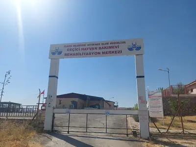 Elazığ Belediyesi Hayvan Hastanesi