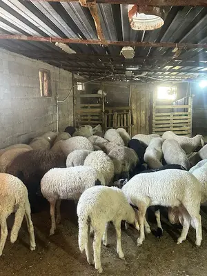 Aksu Çiftlik Isparta