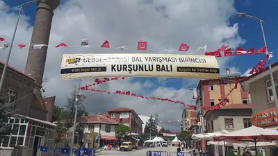 Kurşunlu Hükümet Konağı