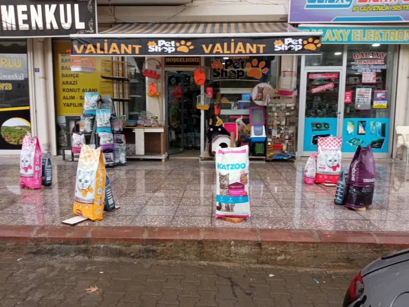 valiand pettshop foto 1