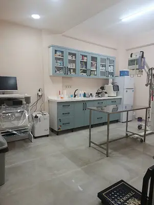 Afra Veteriner Kliniği