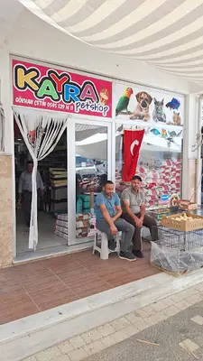 Kayra Petshop, Yenice