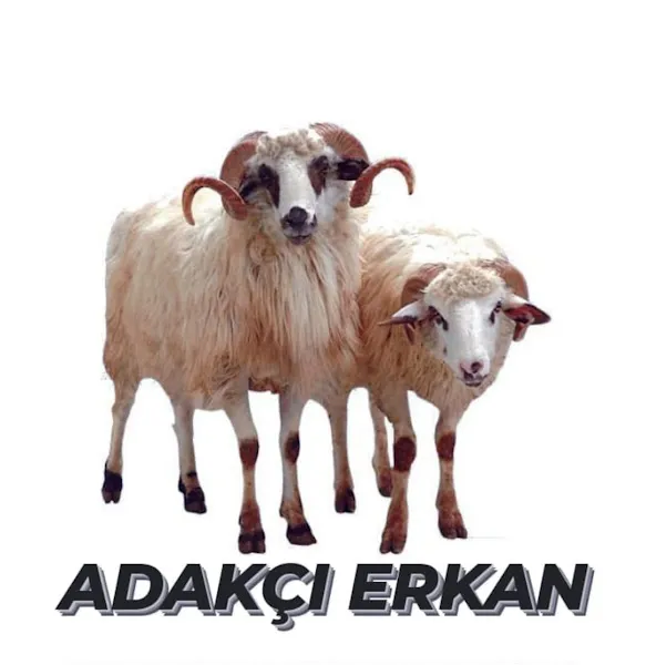 Adakçı Erkan Iğdır foto 2