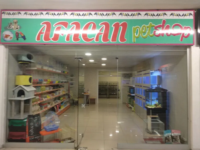 Kral Pet Shop foto 1
