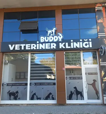 BUDDY VETERİNER KLİNİĞİ