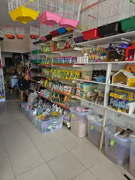 Ordu pet shop foto 2