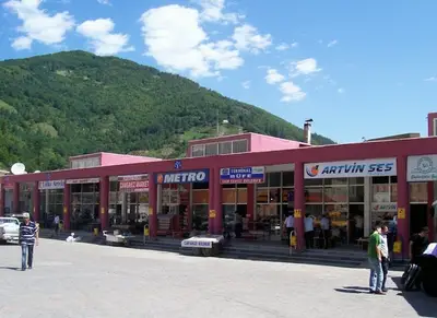Lüks Artvin
