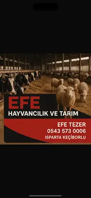 EFE HAYVANCILIK