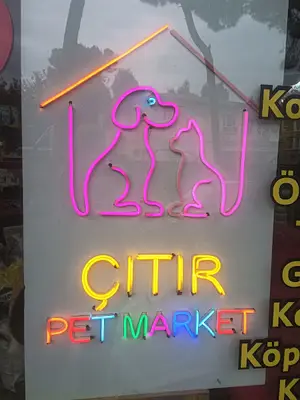 Çıtır petshop fotoğrafı