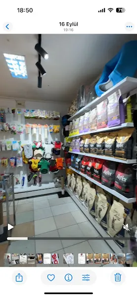 PAW PET SHOP foto 2
